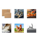 Balança Digital Portátil 40kg x 10g LCD Multiuso Pesca