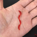 Isca de Minhoca Vermelha 5cm - Aroma Realista - 50 a 800 Peças