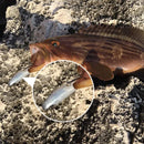 Kit Isca Artificial Soft Fishing 8cm 5 Unidades Com Ganchos