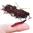 Iscas de Pesca Sougayilang Minhoca Realista 50 - 200 Unidades